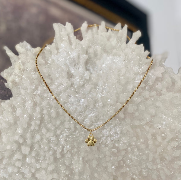 Collar Huella 🐕😻🐾