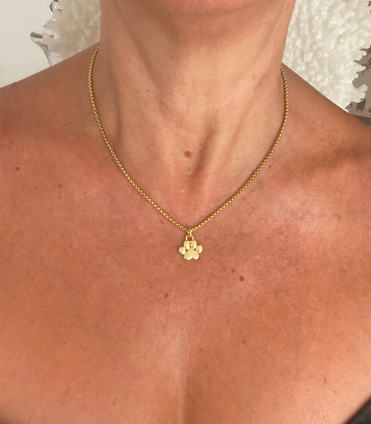 Collar Huella 🐕😻🐾