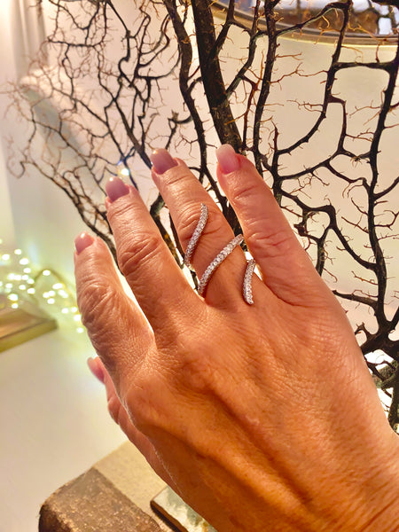 Anillo Edén