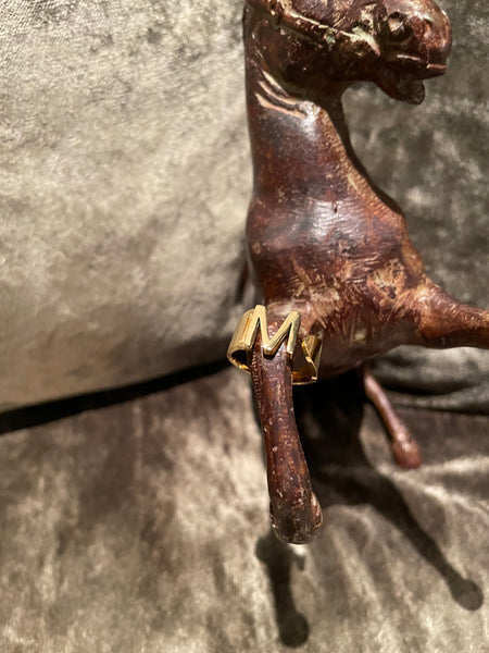 Anillos